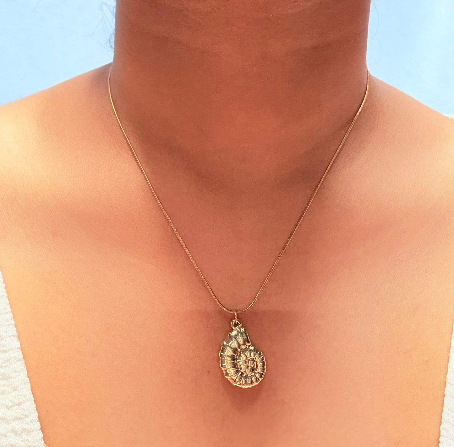Seashell pendant