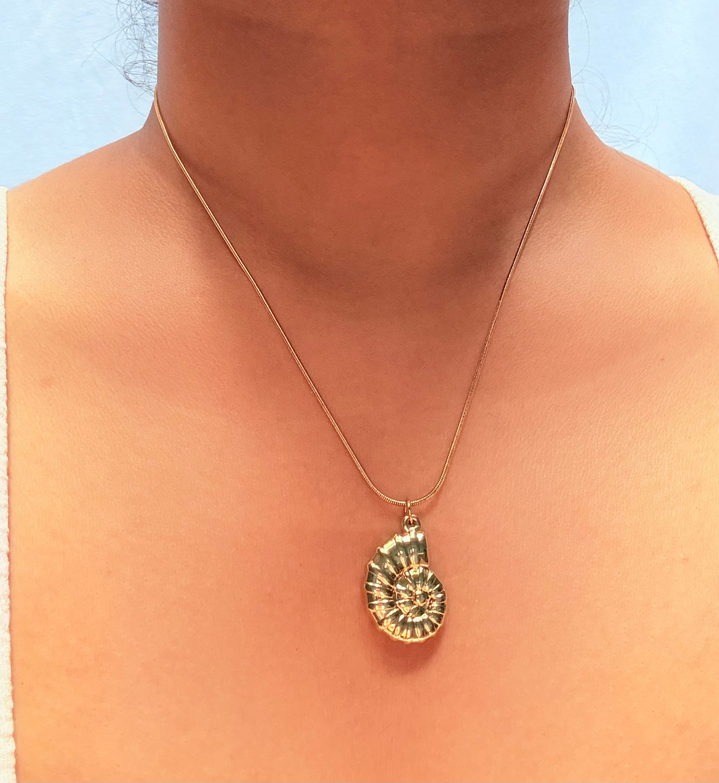 Seashell pendant
