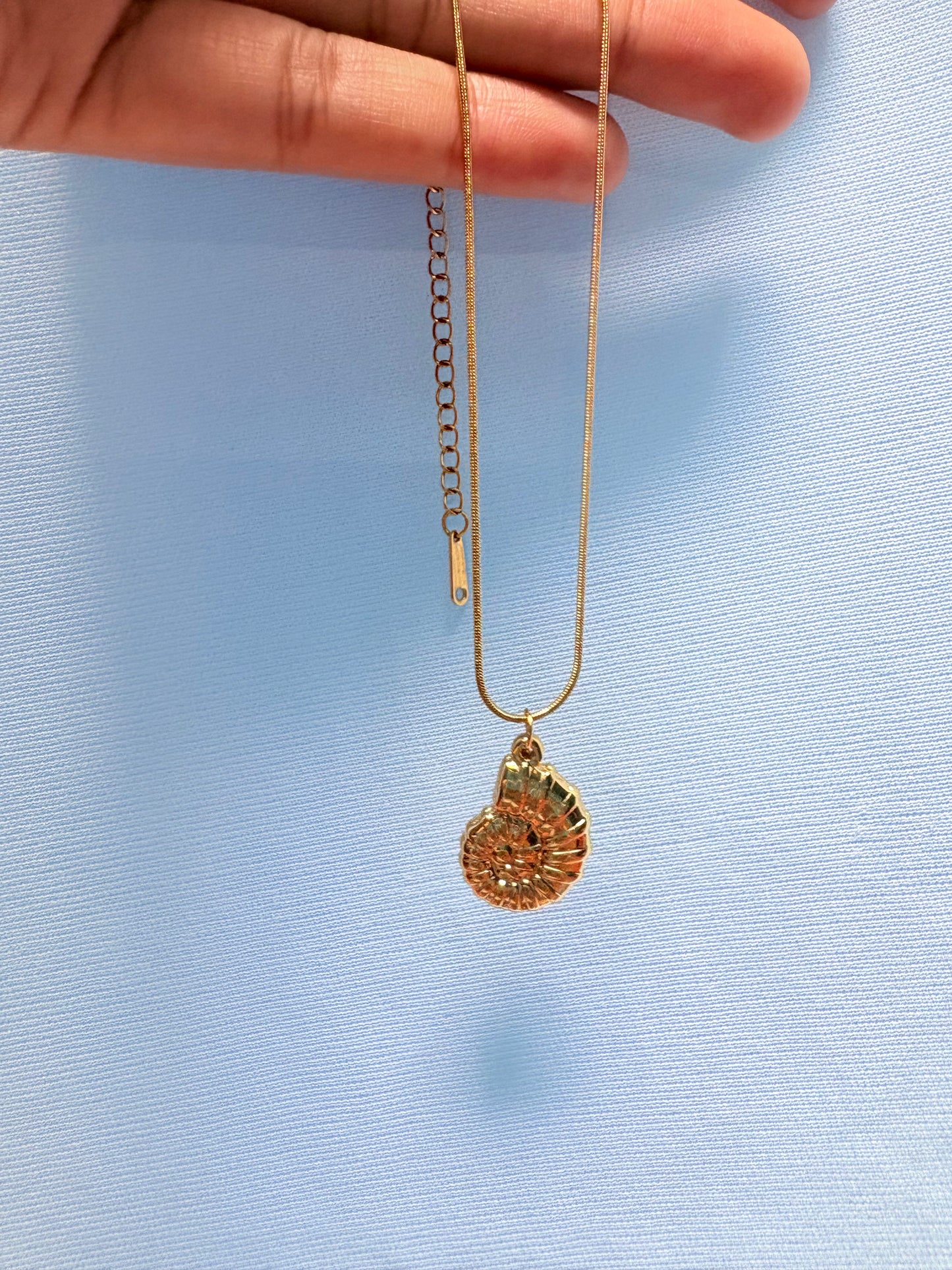 Seashell pendant