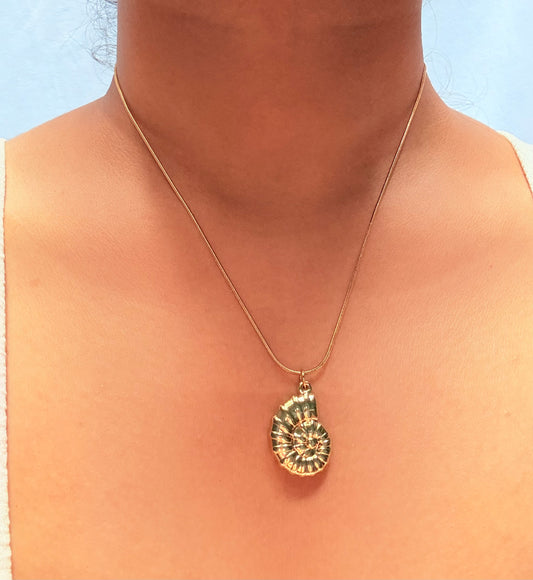 Seashell pendant